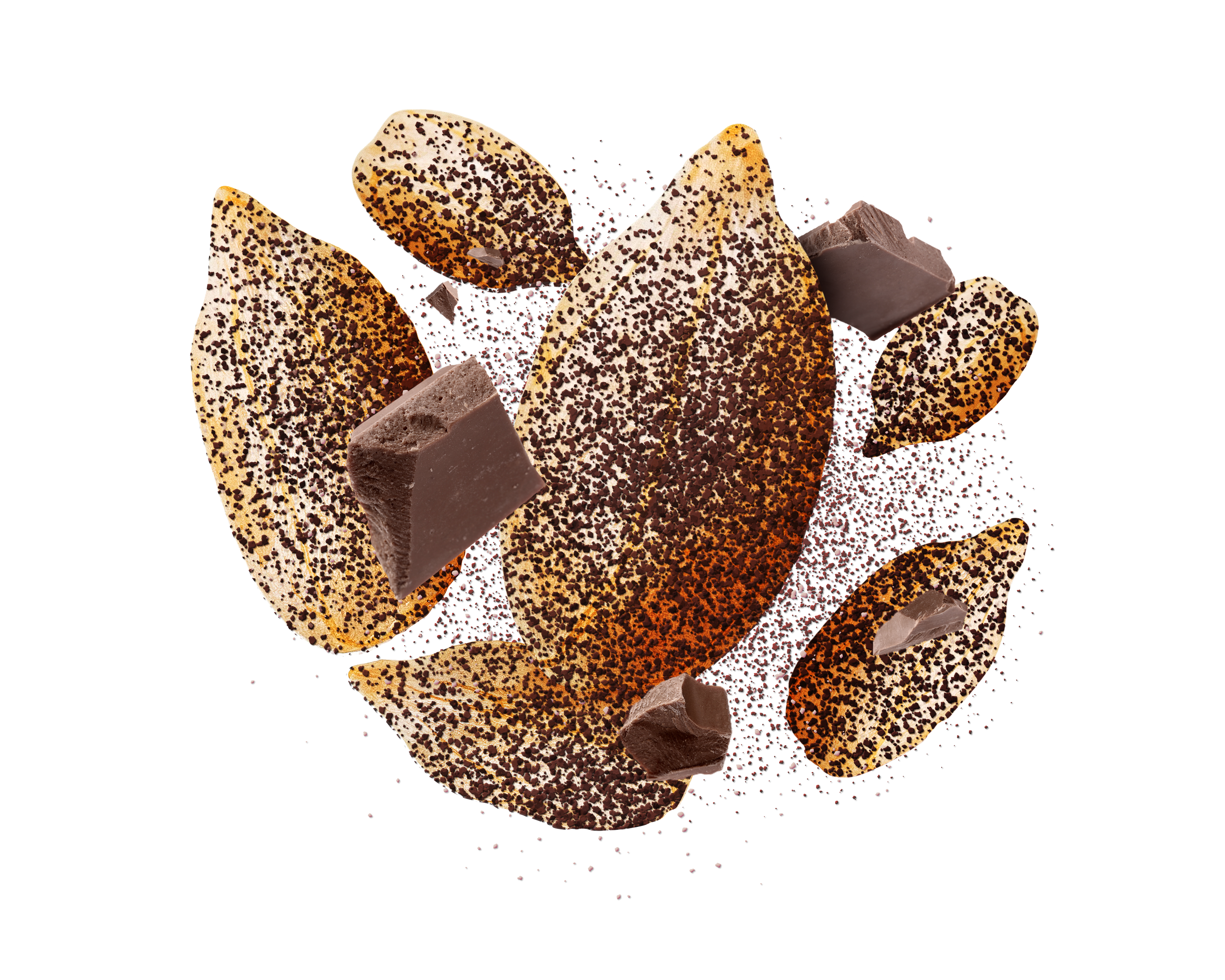 DARK CACAO & SEA SALT SUNFLOWER SEEDS