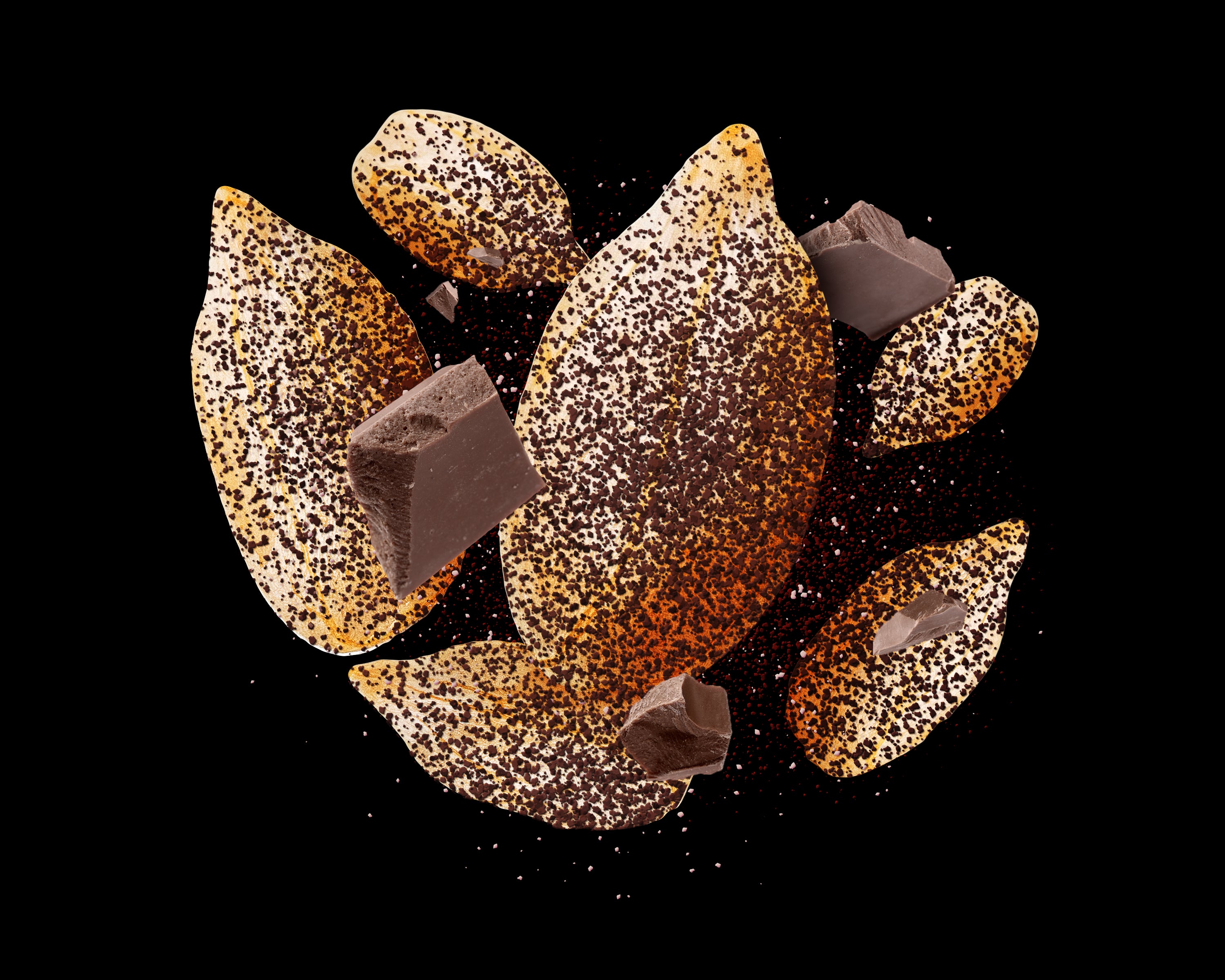 DARK CACAO & SEA SALT SUNFLOWER SEEDS