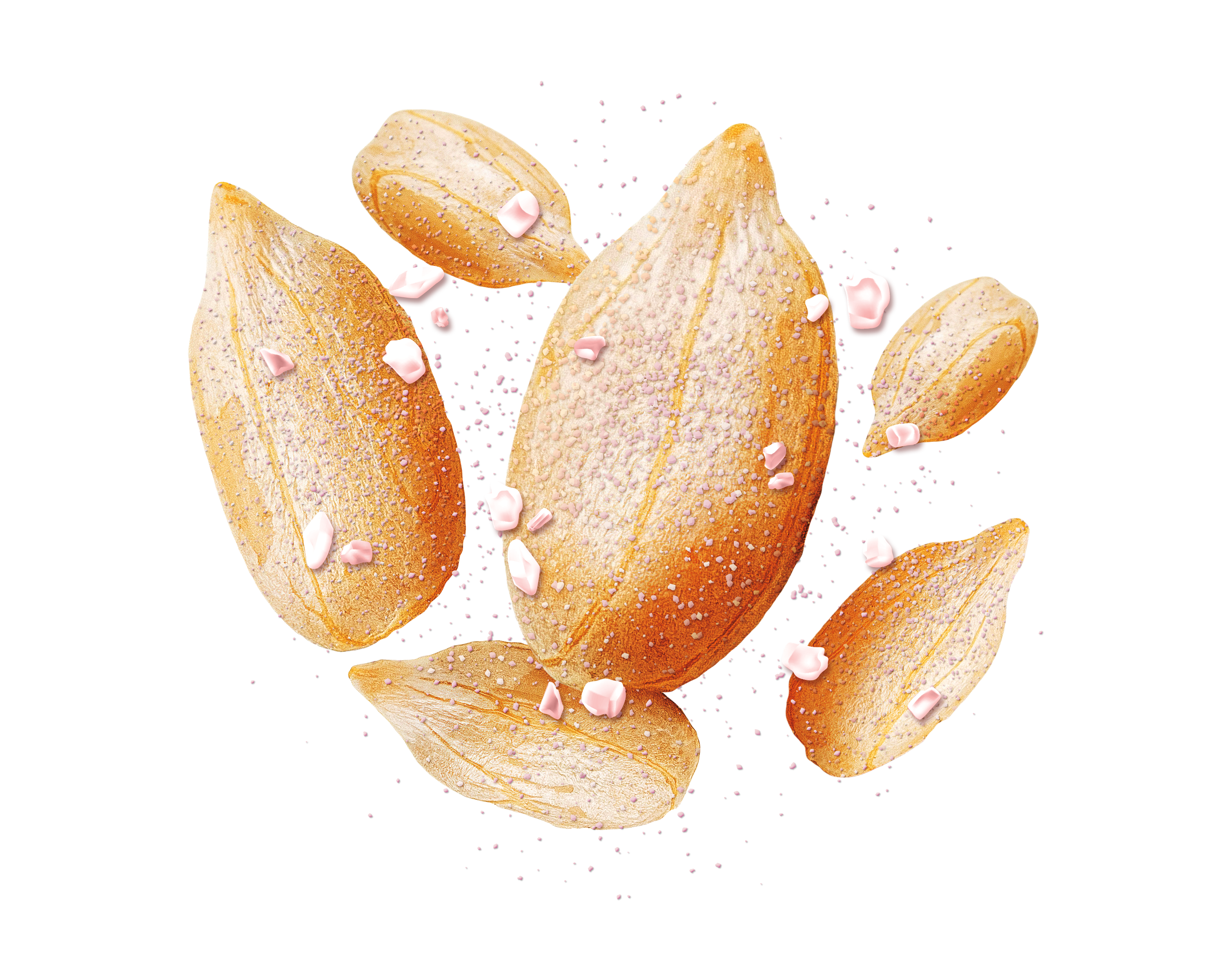HIMALAYAN SALT SUNFLOWER SEEDS